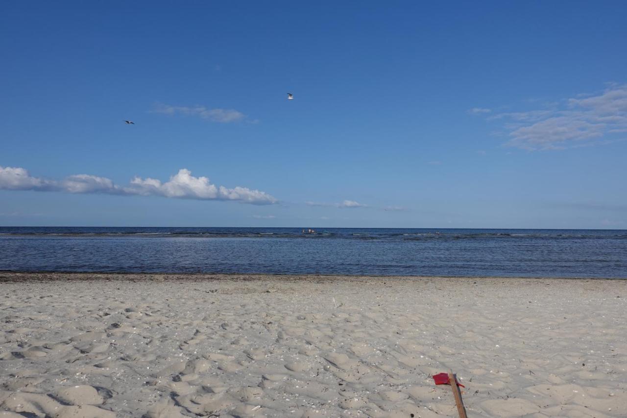 Usedoms Kleines Ostseeglueck #1 In Peenemuende Bis 4 Personen, Zuganreise Moeglich Buitenkant foto
